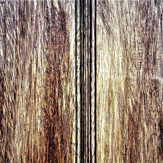 Wood by Gema Pardo Trapero