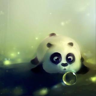 Cute panda baby