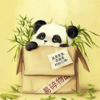 Cute panda in a box