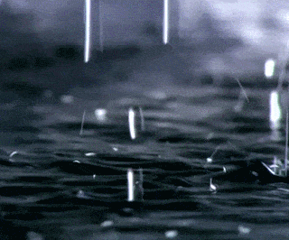 My Favorite Rain gif