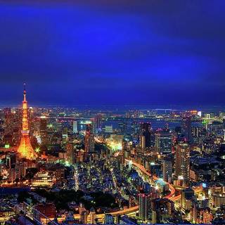 Tokyo City Scape