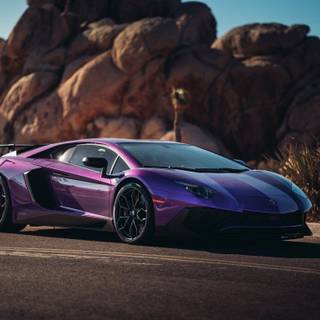 Lamborghini v12 lila 