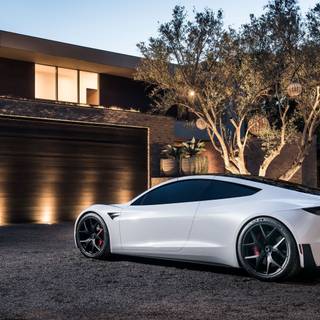 Great Tesla Roaster picture 