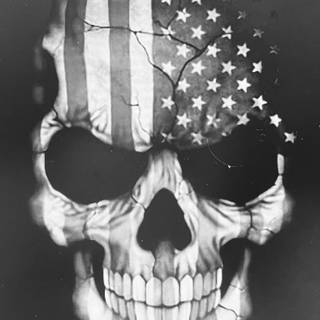 American flag skull 