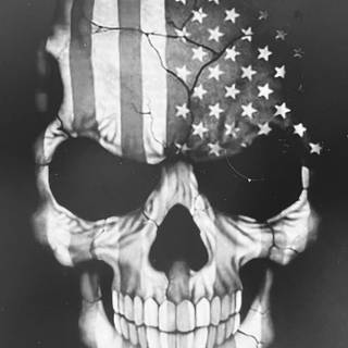 American flag skull 