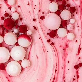 Bubbles by Leonardo Baldissara