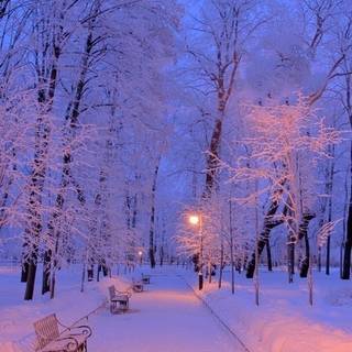 Winter Wonderland!!