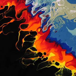 Fire and Ice by Susan Wilkinson