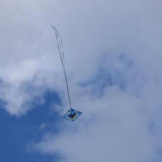 Kite