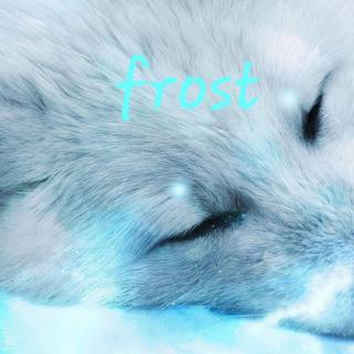 Frost fox