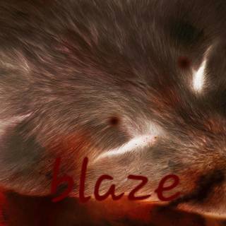 Blaze fox