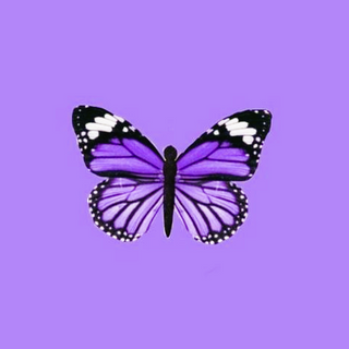 purple aesthetic 