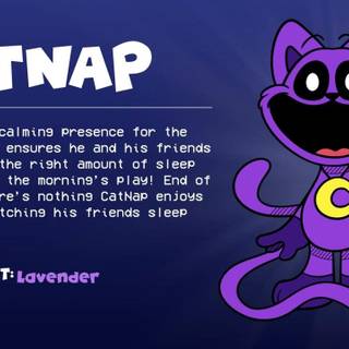 catnap wallpaper