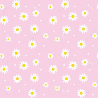 Pink Background And White Flowers