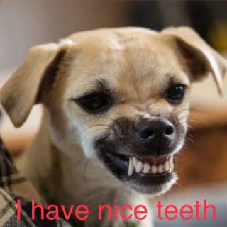 I have nice teeth