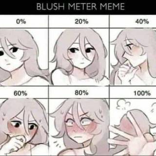 My blush Meter: 0%