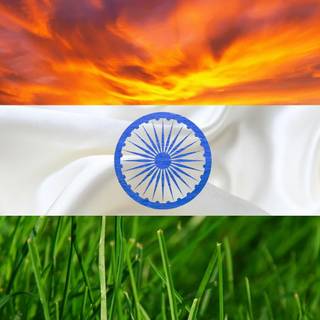 love my India most