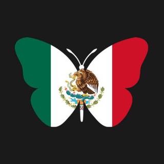 Mexico flag butterfly☆
