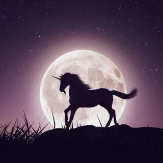 Moonlight Unicorn