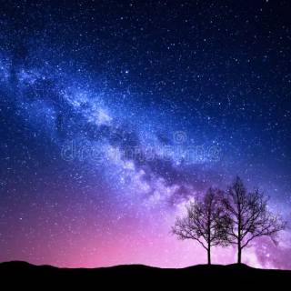 Night Sky Landscape
