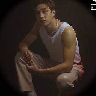 Stray Kids Bang Chan