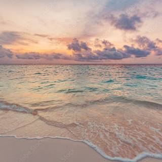 Beautiful Beach Landscape