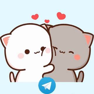 Peach and Goma Cute Kawaii Cats