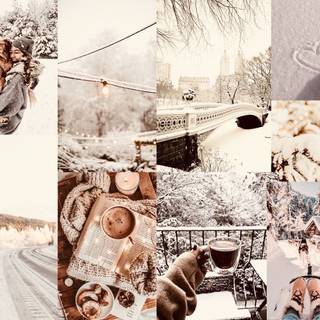 Winter/Christmas