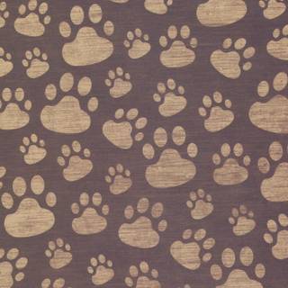 Paw Pattern