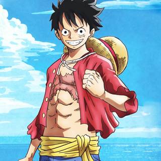 luffy pirates