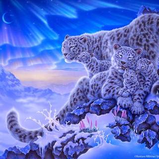 Snow Leopards (Christmas)