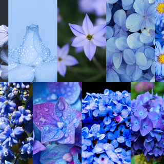 Blue Flowers