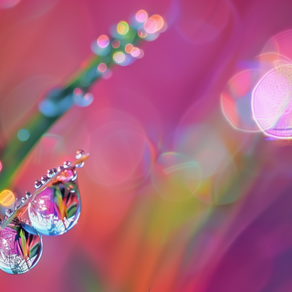 Dazzling Dew Drops by BlueTechWizard