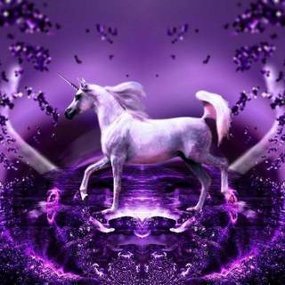Purple Unicorn