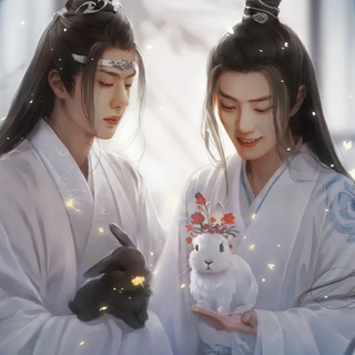 Wangxian (MDZS)