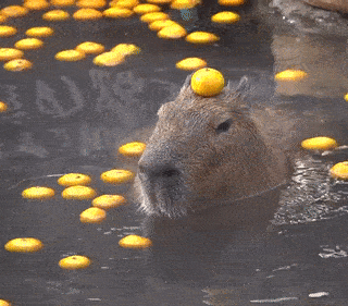 capybara