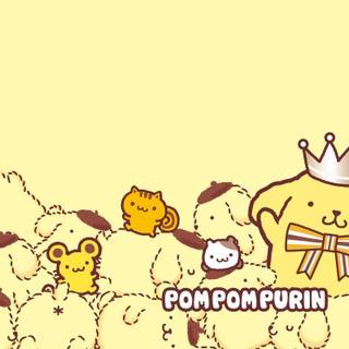 I love pompom porim