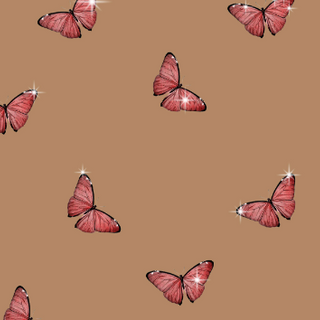 aesthetic butterflies