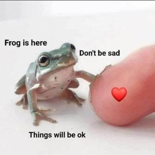 thank you frog :)