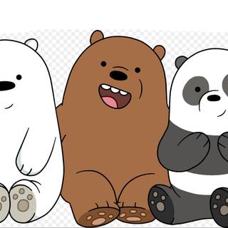 We bear bears 