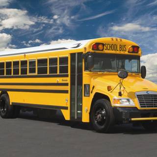 2014 bluebird vision