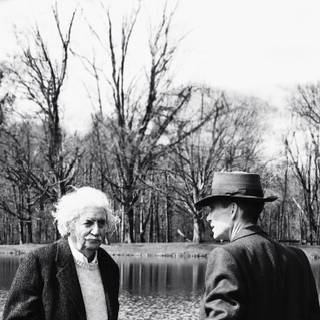 Albert Einstein and Oppenheimer