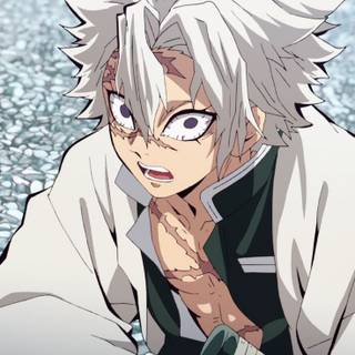 Anime Photo Of The Day (Sanemi)