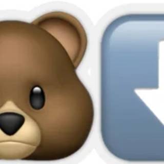 Bear Down = Bear and down arrow