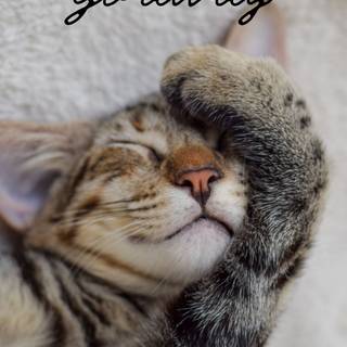 Go Away Monday... No One Likes Yoou