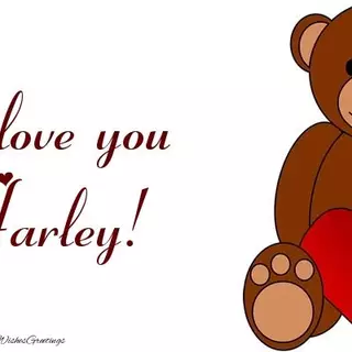 I Love you Harley..... I miss you.... See you up in Heaven
