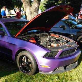 2012 stang purple