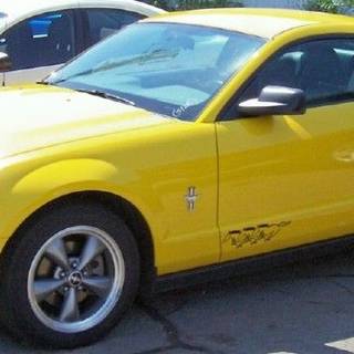 2008 yellow