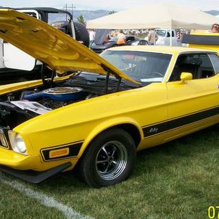 1973 mach1-yellow