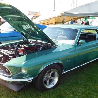 1969 stang green 2